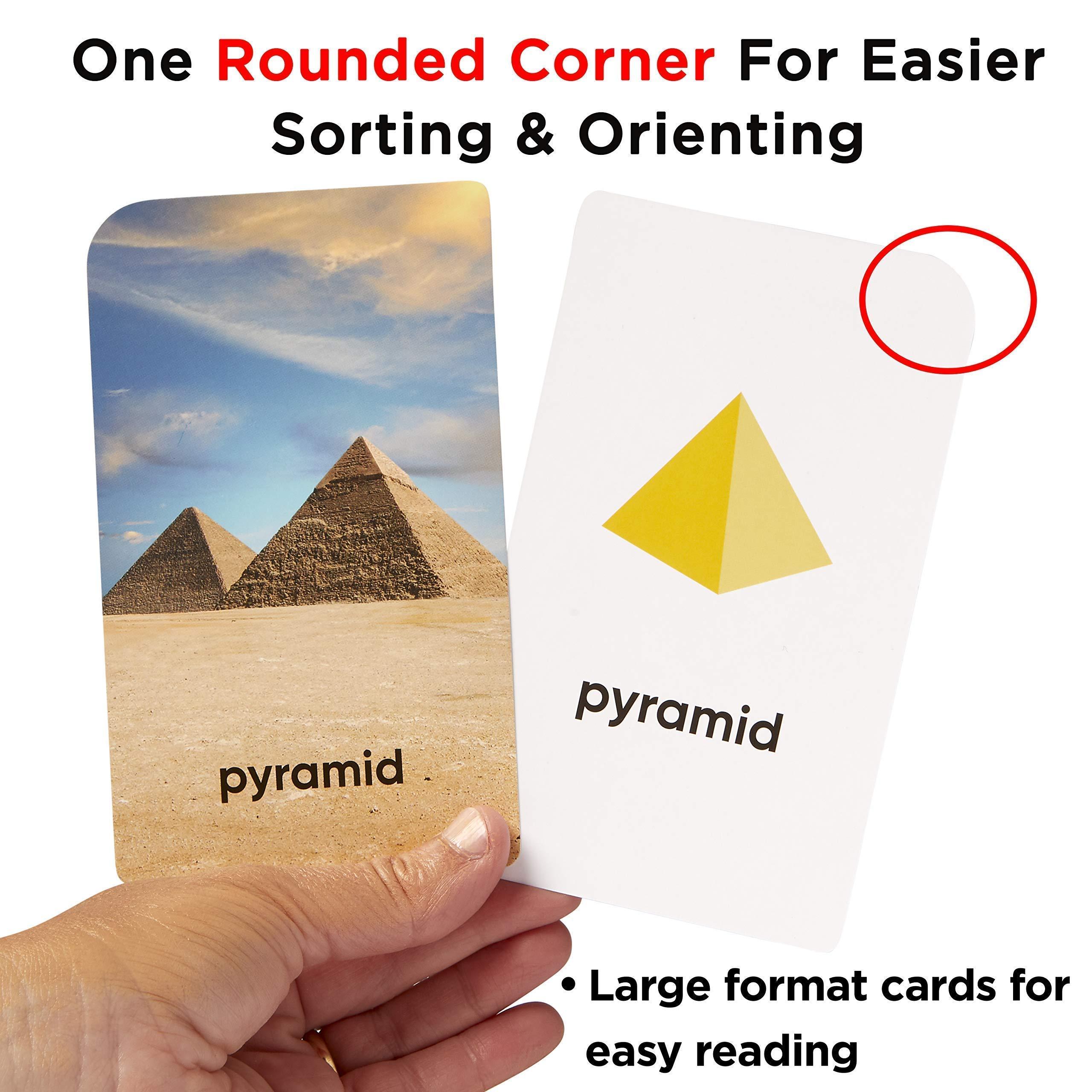 Think Tank Scholar Think Tank Scholar Preschool & Early Math Learning Bundle | Alphabet, Numbers & Counting, Colors & Shapes, First Words and & Opposites, Rhyming | Addition and Subtraction (All Facts Color Coded)