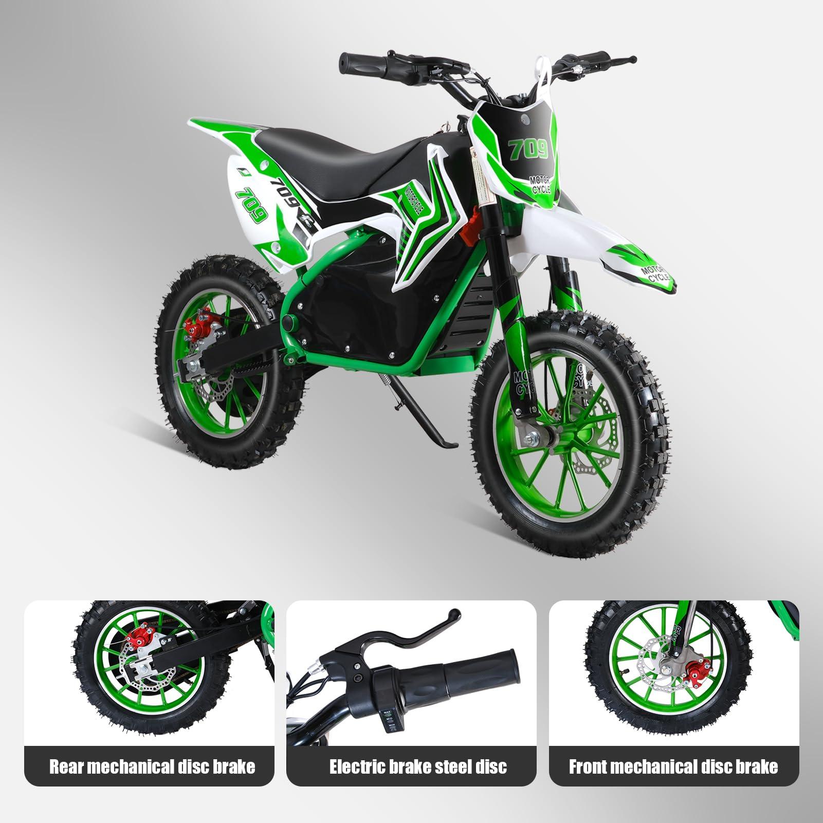 pofluany Kids Electric Dirt Bike - 2024 Upgraded Motorcycle [Max 18MPH], 350W Powerful Motor, Strong Frame for Summer Fun (Green)