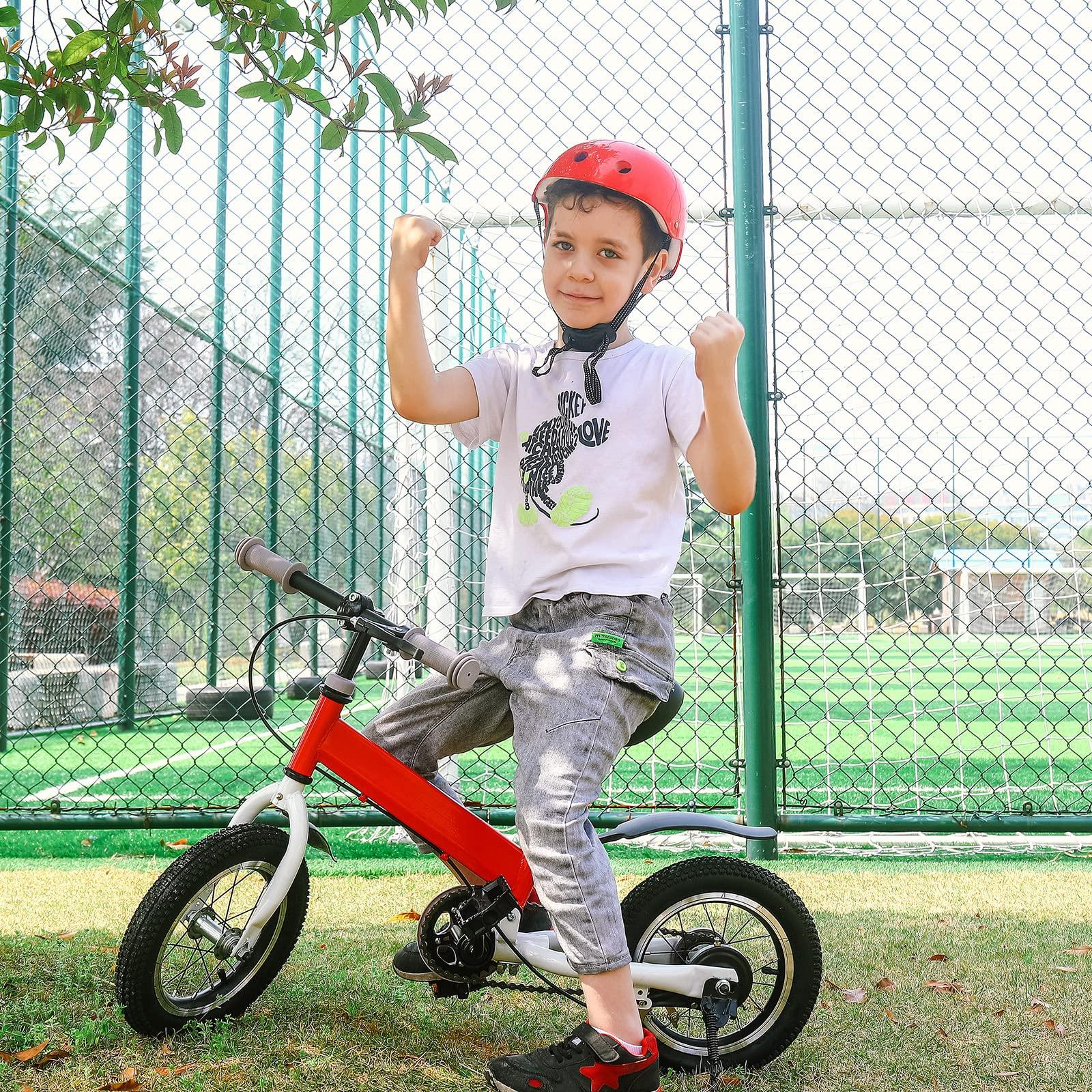 bikeboy bikeboy Balance Bike 2 in 1,The Dual Use of a Kids Balance Bike and Kids Bike,12 14 Inches for 2-6 Years Old,with Shock Absorbers, Fenders, Pedals, Auxiliary Wheels