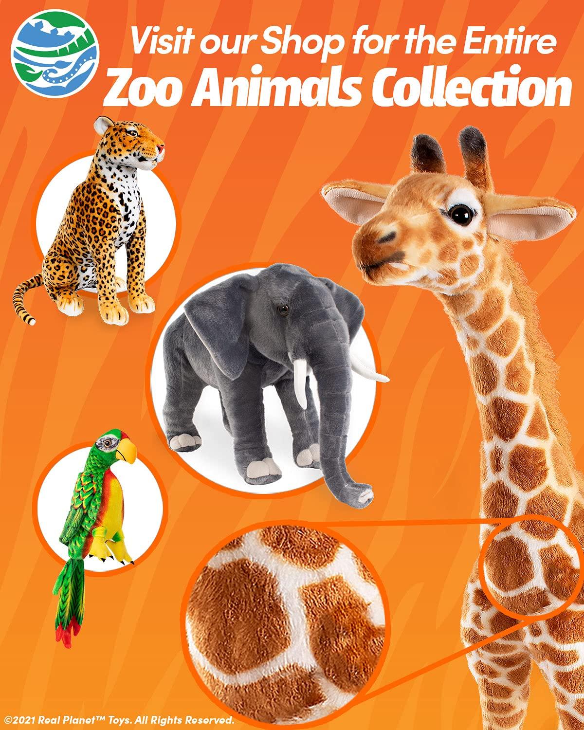 Pat's Flash Cards 200 Beginning Phonics Flash Cards - CVC and CVCC Short Vowel Word Cards