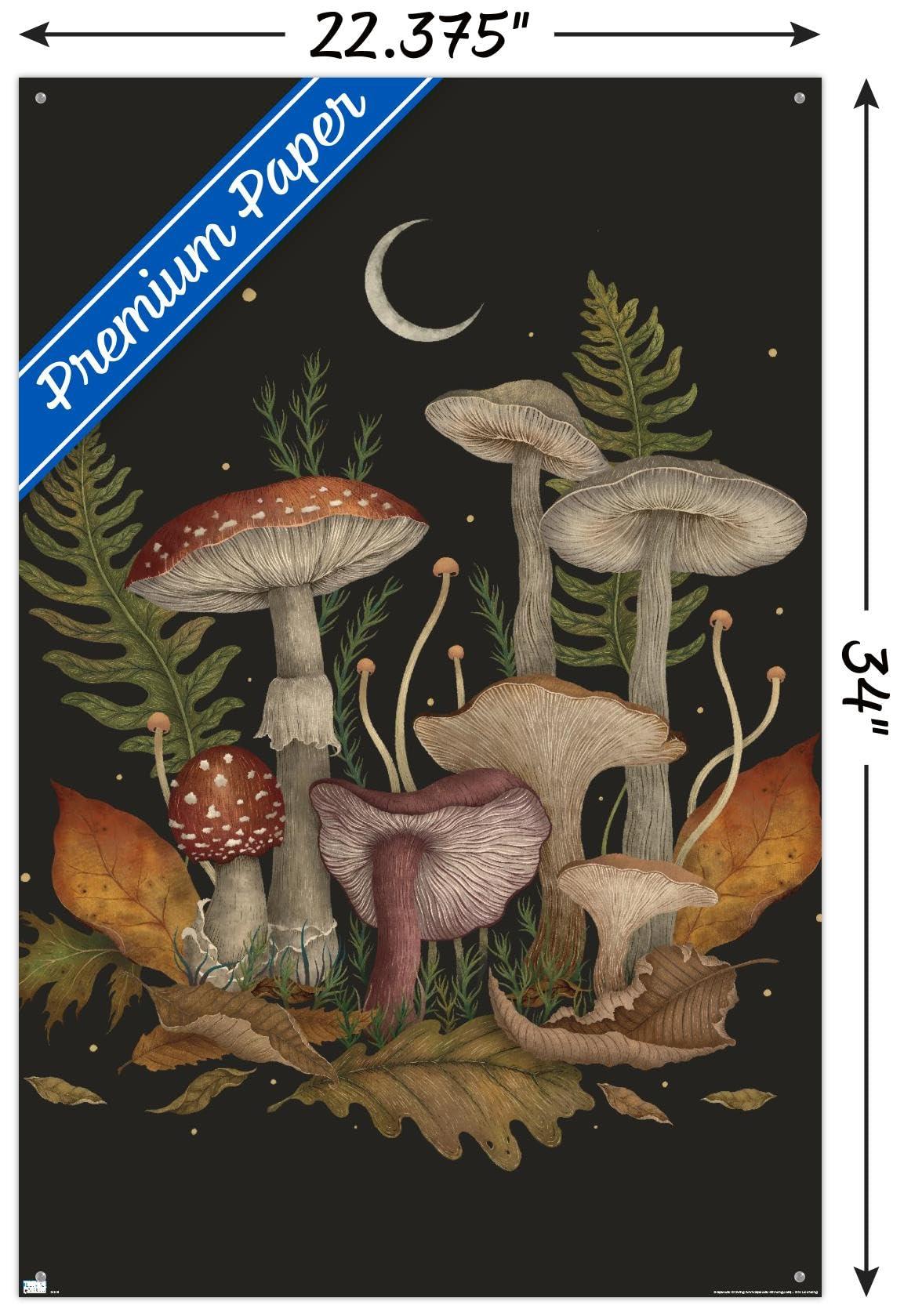Trends International Trends International Episodic Drawing - Autumn Mushrooms Wall Poster, 22.37\" x 34.00\", Premium Poster & Push Pin Bundle