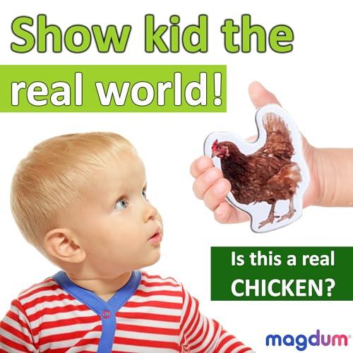 magdum 16 Fridge Magnets for Toddlers Magdum - Farm Photo Kids Magnets for Fridge - Toddler Magnets for Refrigerator - Magnetic Animals - Fridge Magnets for Kids - Animal Magnets - Toddler Fridge Magnets