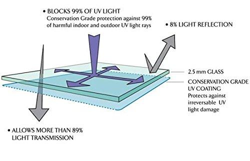 Perfect Cases Triple Mini Helmet Display Case with Engraving and Conservation Glass (99% UV)