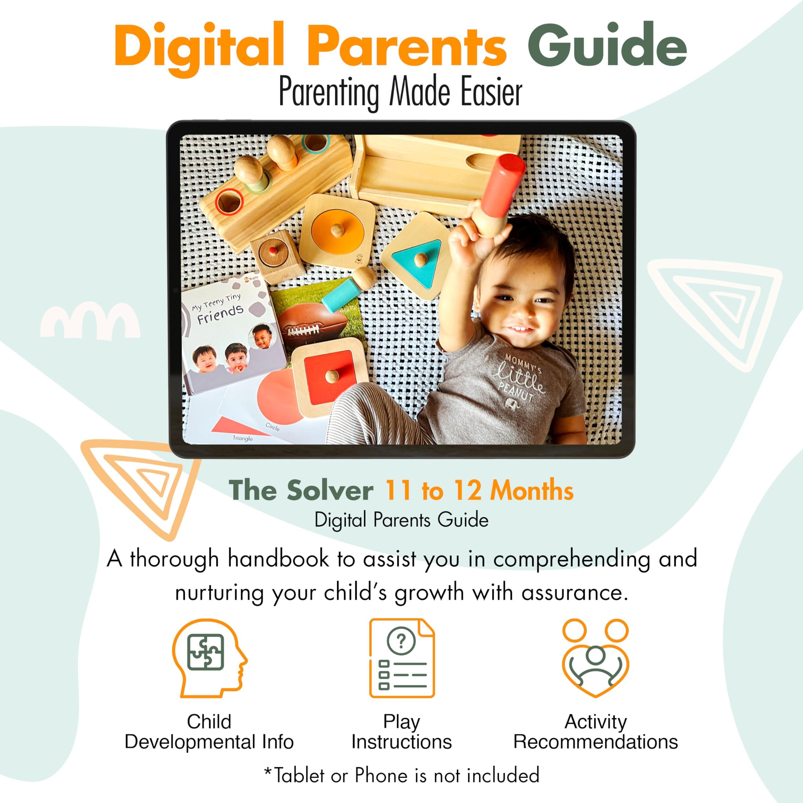 Bujjify Bujjify Montessori Toy Set 11-12 Months Baby Toys- 1 Year Birthday Gift, Push Ball, Shape Puzzle, Popup Toy, Pincer Grasp, Diversity Board Book, Picture Cards, Brain Development Toddler Toy