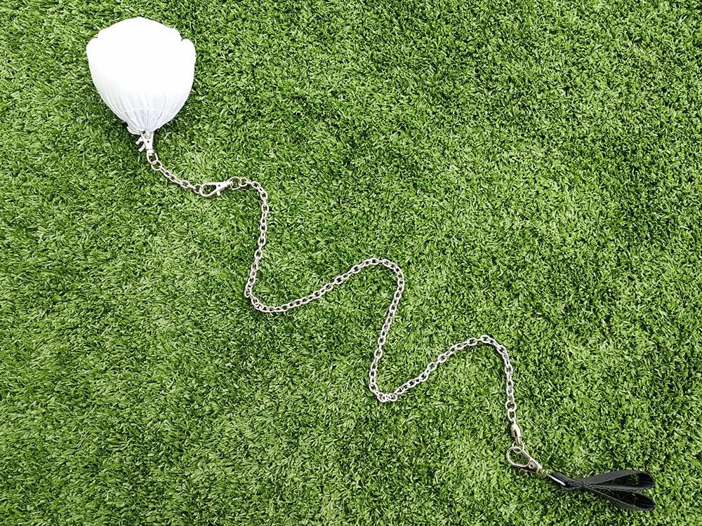 Winged Sirenny Winged Sirenny Single Piece 70" Play Silk Scarf with Poi Ball, Colorful Silk Flag Ribbon Streamer, Belly Dance Practice VOI (Rainbow longside)