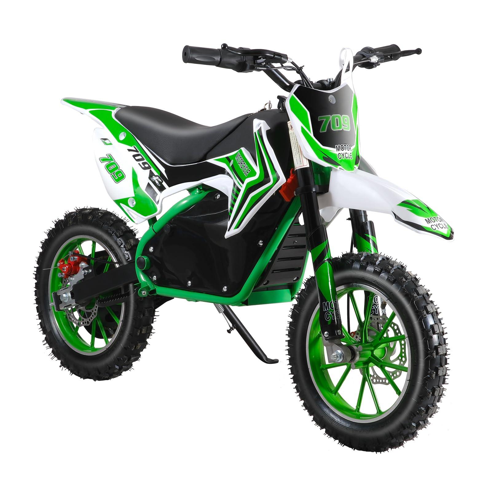 pofluany Kids Electric Dirt Bike - 2024 Upgraded Motorcycle [Max 18MPH], 350W Powerful Motor, Strong Frame for Summer Fun (Green)