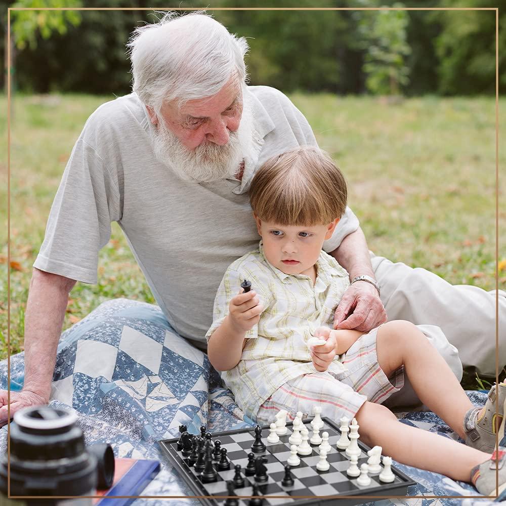 Chess Armory Chess Armory Travel Chess Set and Chess Clock Bundle