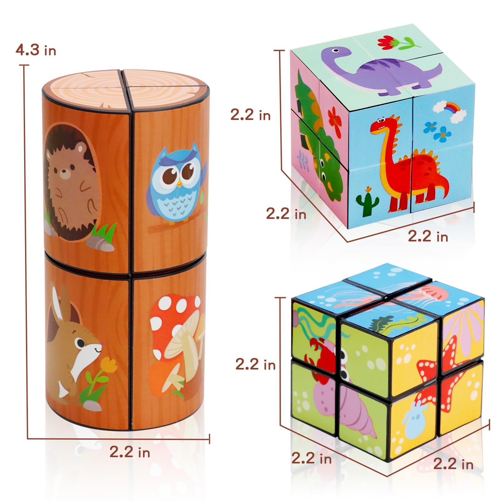 Euclidean Cube 3 Themes Magic Cube Yoshimoto Cube Set for Kids and Adults, Toy Gifts for Boys and Girls Ages 8-12
