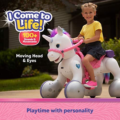 Kid store trax pony