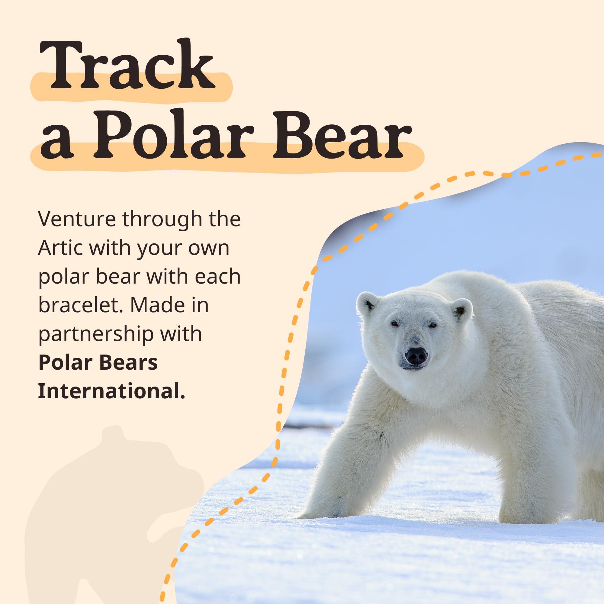 Fahlo Fahlo Polar Bear Tracking Bracelet, Elastic, supports Polar Bears International, one size fits most for Men and Women