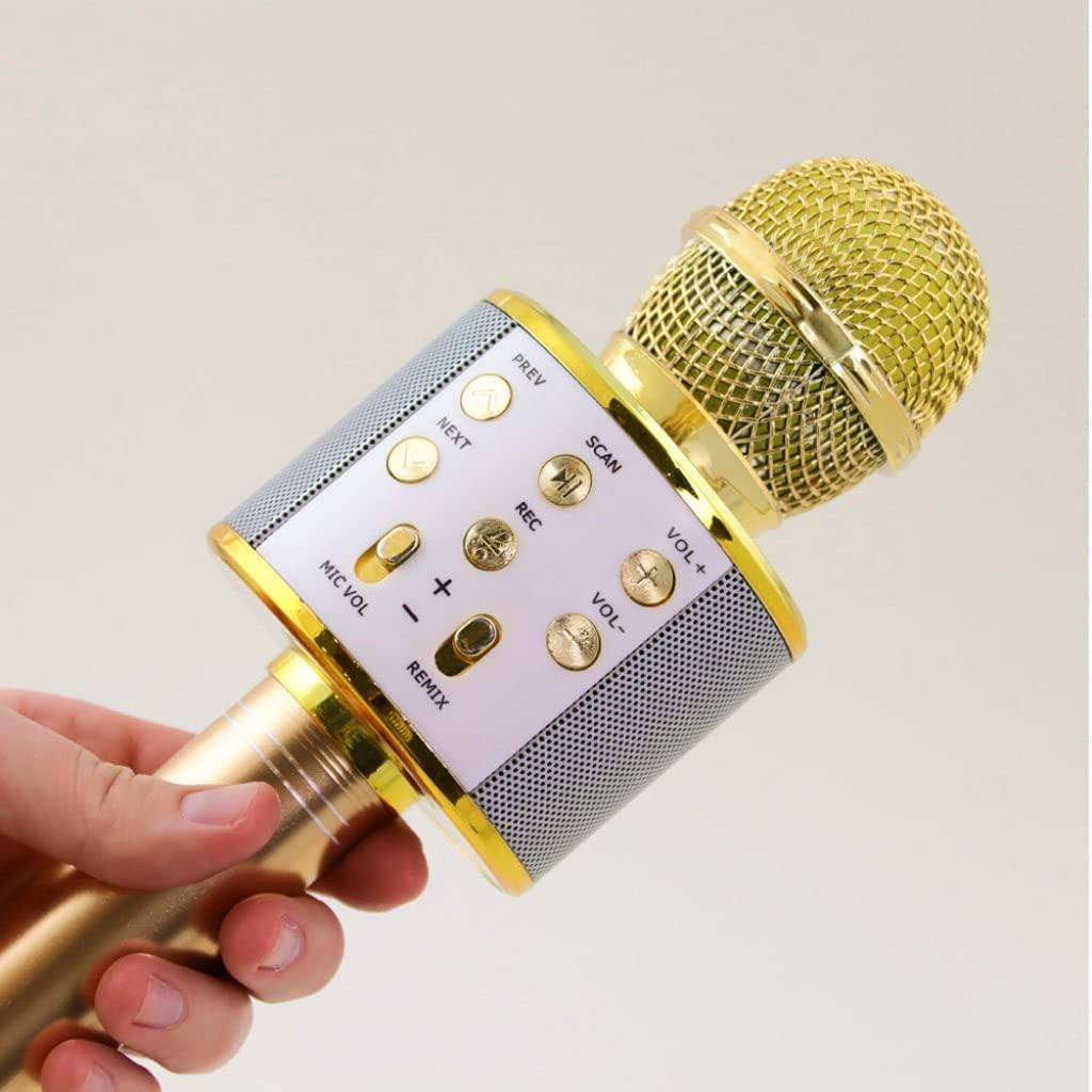 Generic Wireless Karaoke Microphone