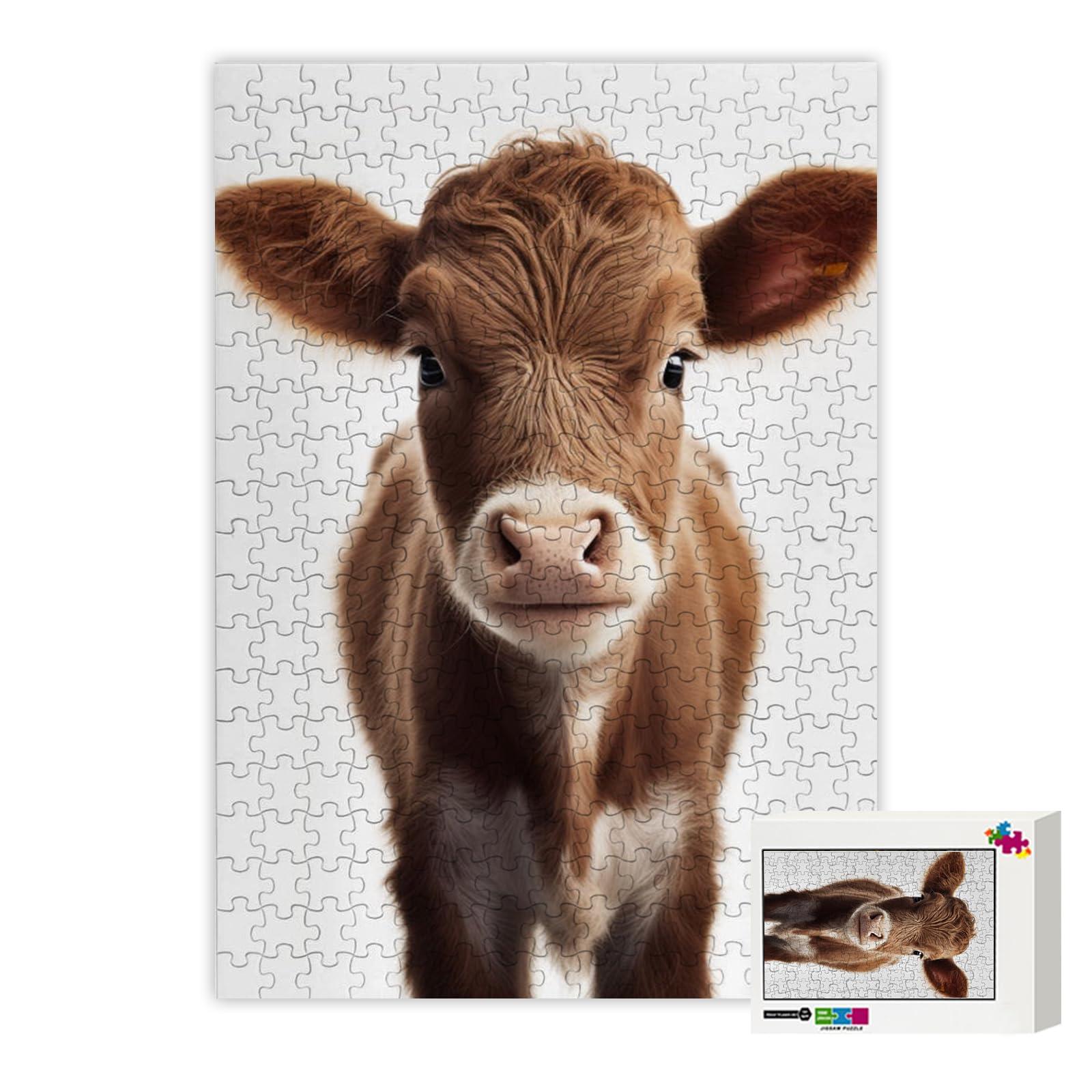 Grey Fox Games Last Light: Infinity Expansion | Strategy Board Game | Space Exploration | 2 to 8 Players | Ages 14+ | 60+ Minutes