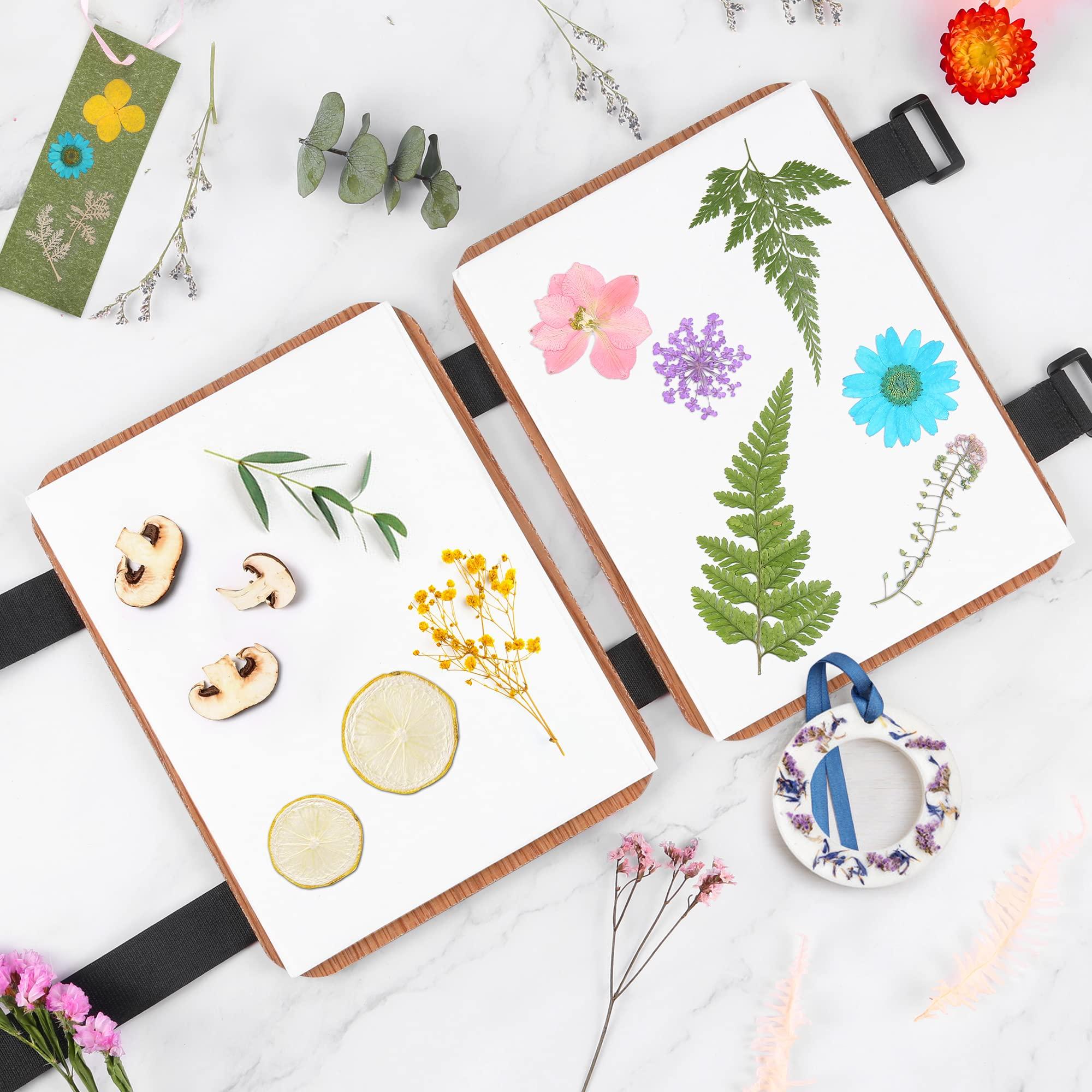 Suziko Suziko Professional Flower Press Kit 6 Layers 6.3 x 8.3 inch Flower Press Kit, Brown,Flower Pressing Kit for Adults Kids, Great Gift for Lover