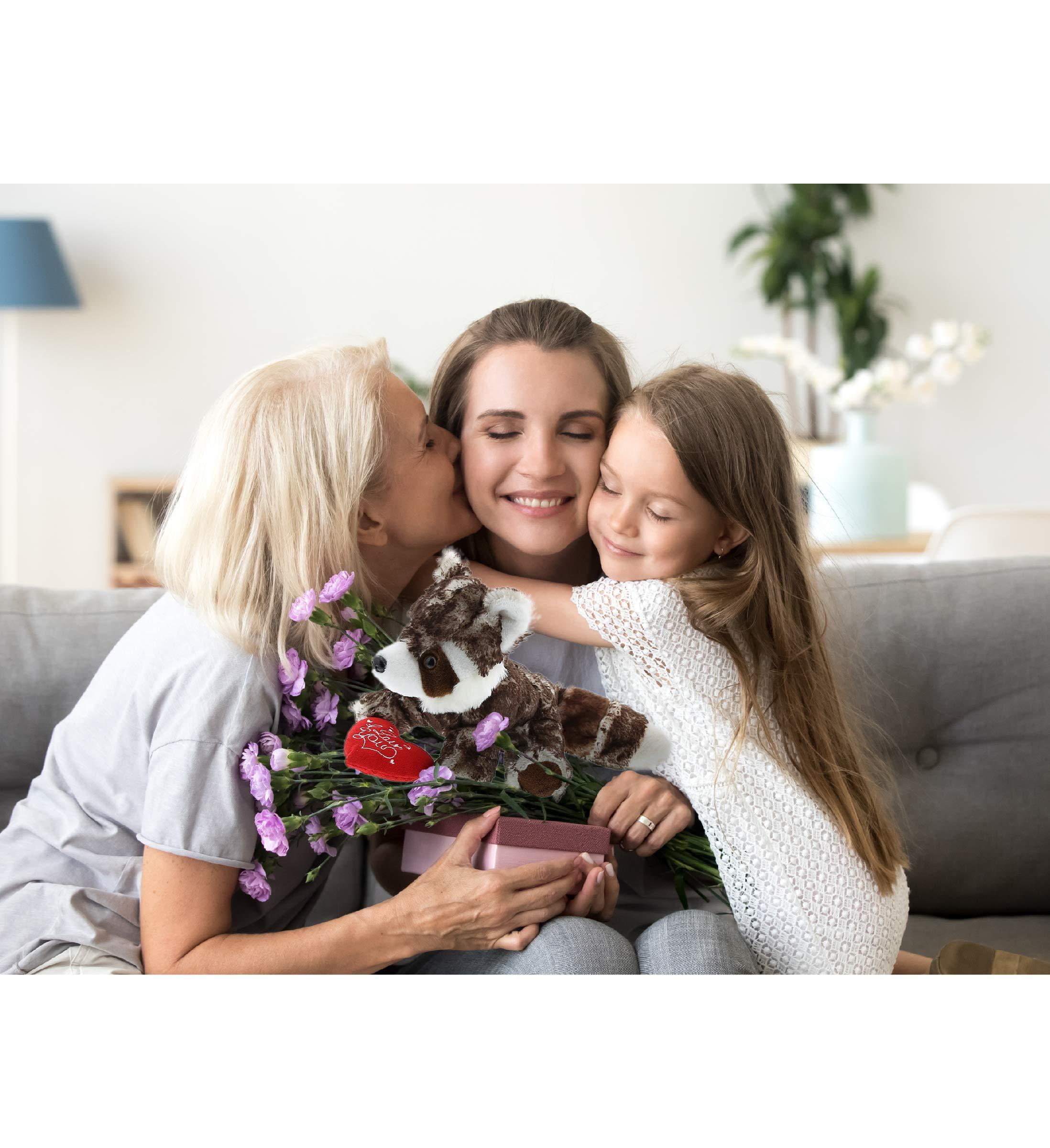 DolliBu DolliBu I Love You Valentine Plush Red Panda - Cute Stuffed Animal with Red Heart and Name Personalization Gift for Valentines Day, Birthday, Anniversary, Romantic Date - 15 Inches