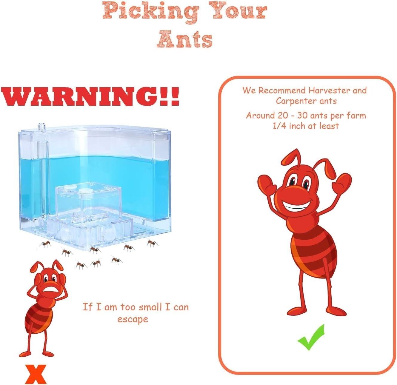 NAVADEAL NAVADEAL Ant Farm Castle Experiment and Toy Allows Study of Social Structure, Architecture, Ecosystem, and The Behavior of Ants Within The 3D Maze of Translucent Gel
