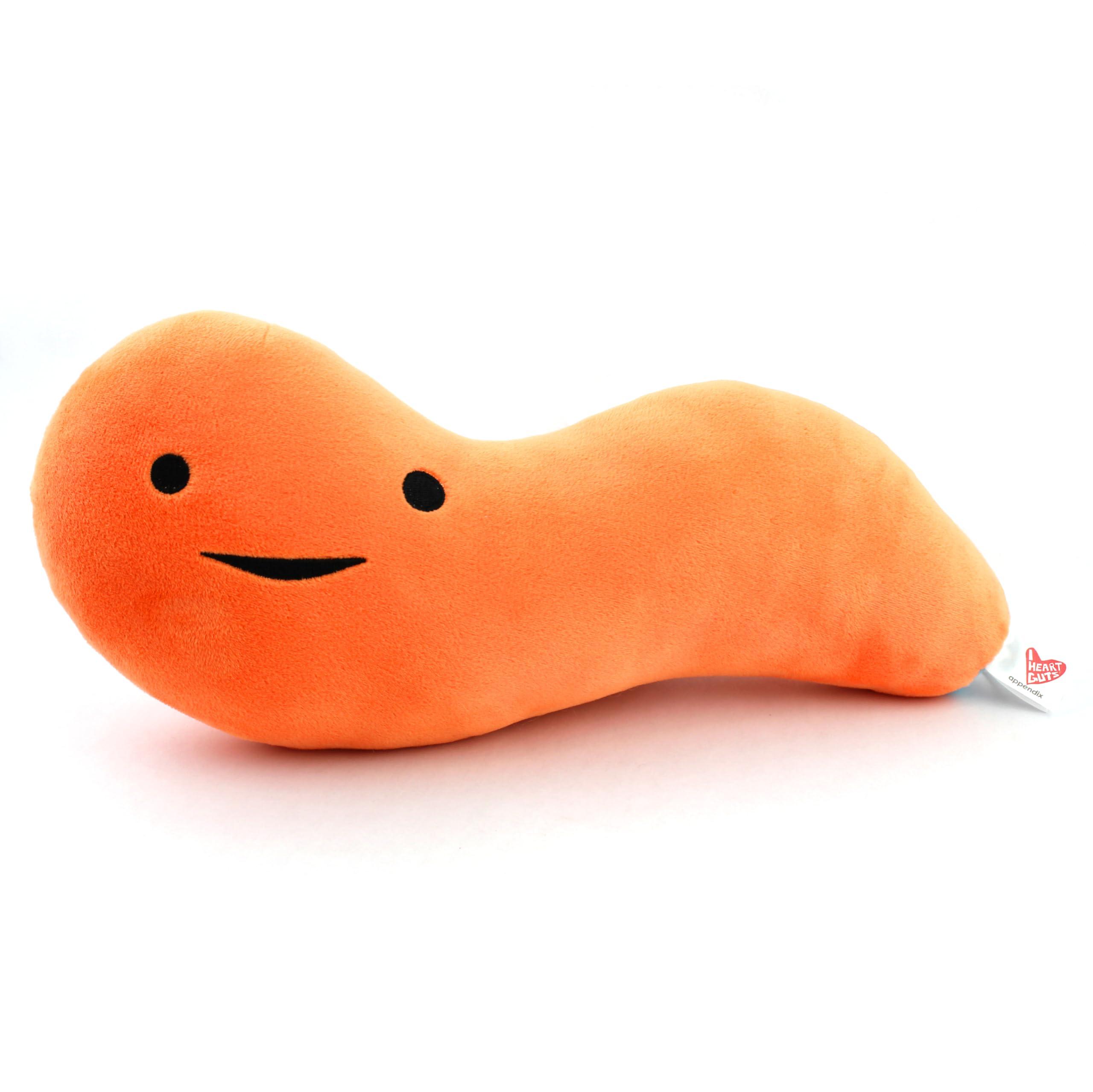 I Heart Guts I Heart Guts Appendix Plush - Feel It In Your Gut - 14\" Stuffed Organ Plush Toy, Appendix Removal Get Well Gifts, Ideal for Appendicitis, Kids, Nurses, Medical Students,Surgery