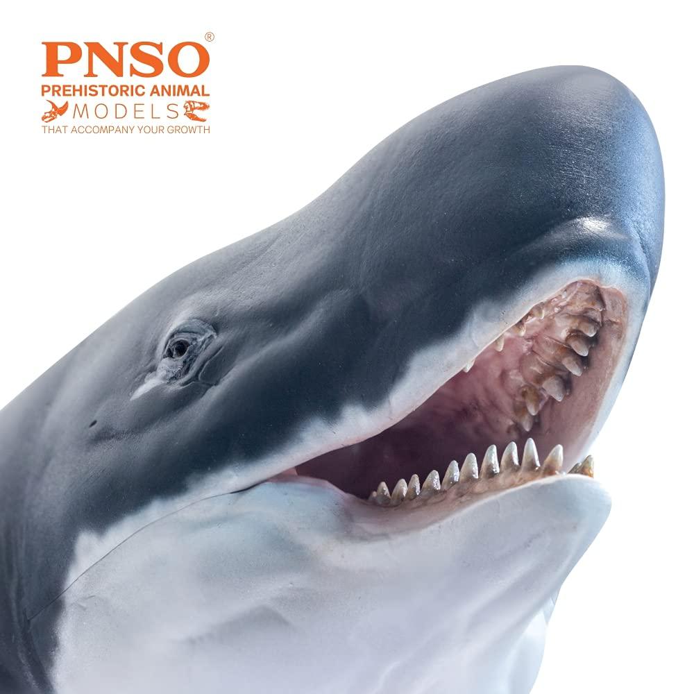 PNSO PNSO Prehistoric Animal Models: 56Requena The Livyatan