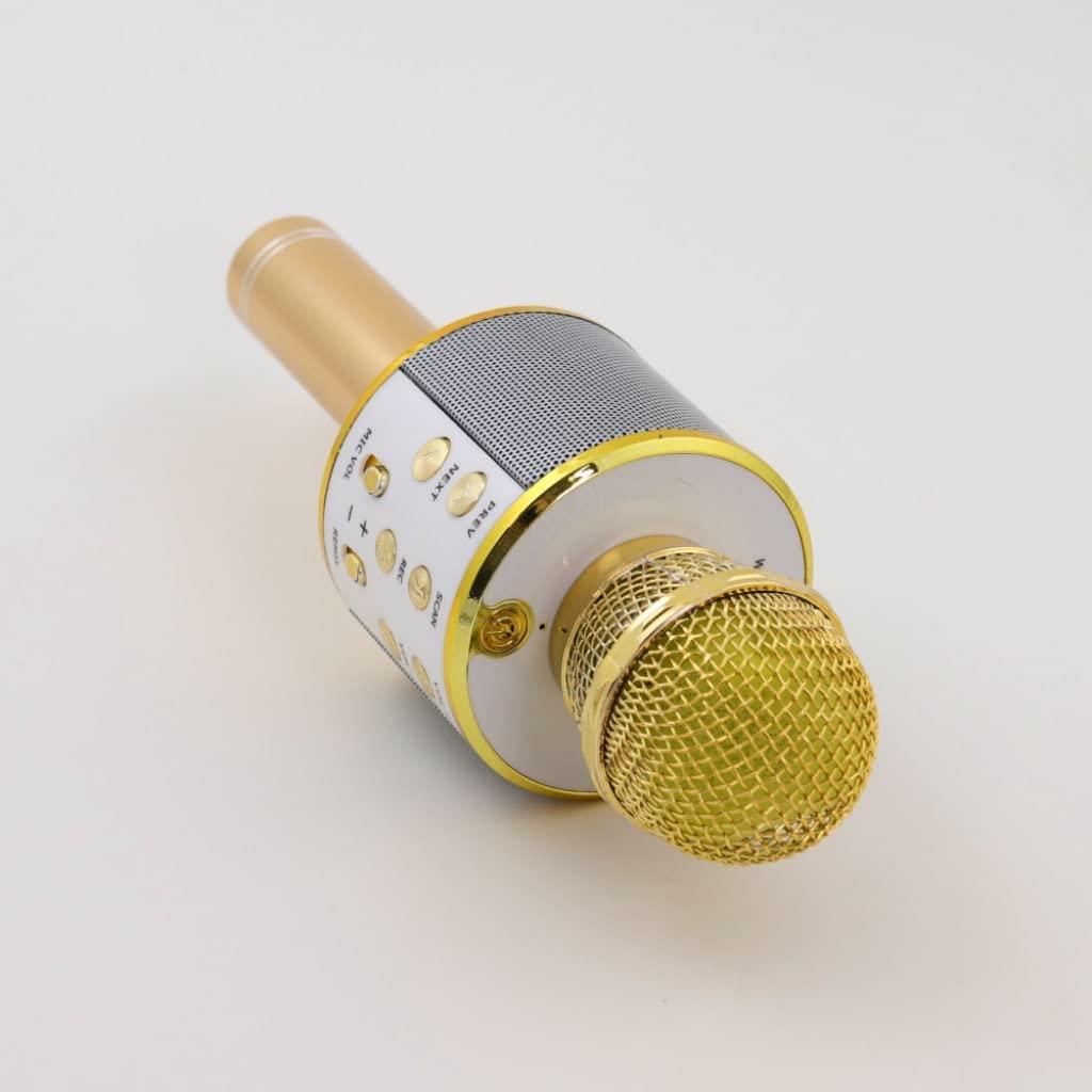 Generic Wireless Karaoke Microphone
