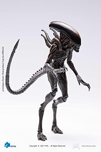 Hiya Toys Hiya Toys Alien: Resurrection Lead Alien Warrior 1:18 Scale Action Figure, Multicolor