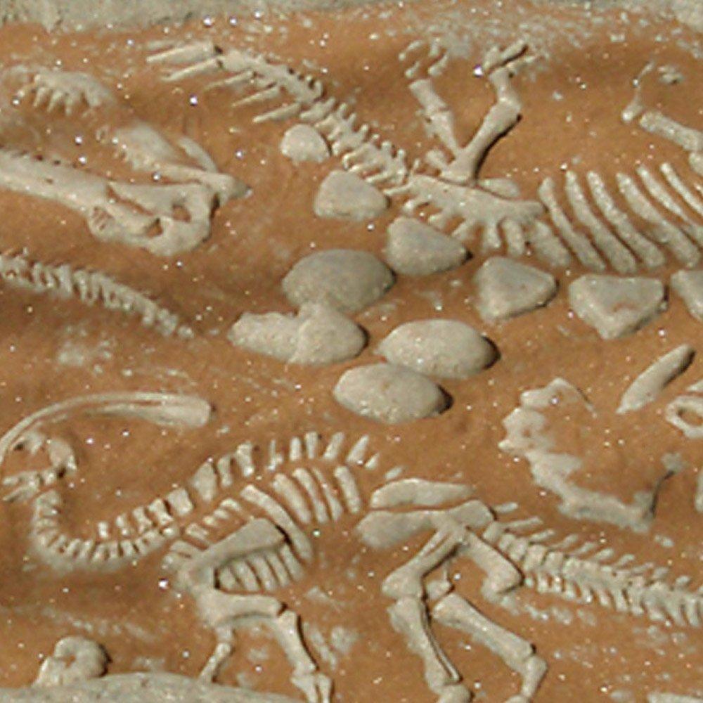 KIDWISE KIDWISE Digasaurus Activity Sandbox - Dinosaur Excavation Activity