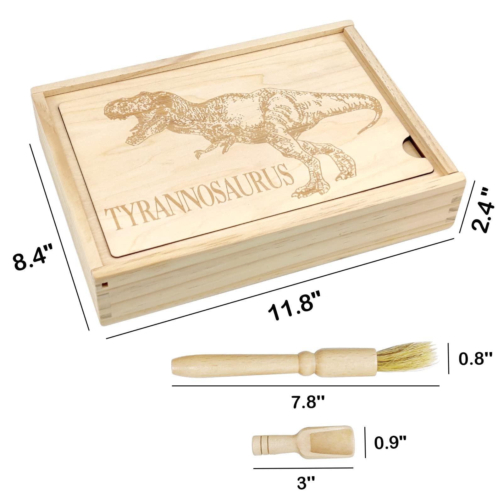 Xylolin Xylolin Dinosaur Excavation Archaeology Dig Kit for Kids, Fossil Explore Sensory Bin Toys, Dino Skeletons Bones Puzzle Game, Archaeology Science STEM Toys for Boys and Girls (Tyrannosaurus)