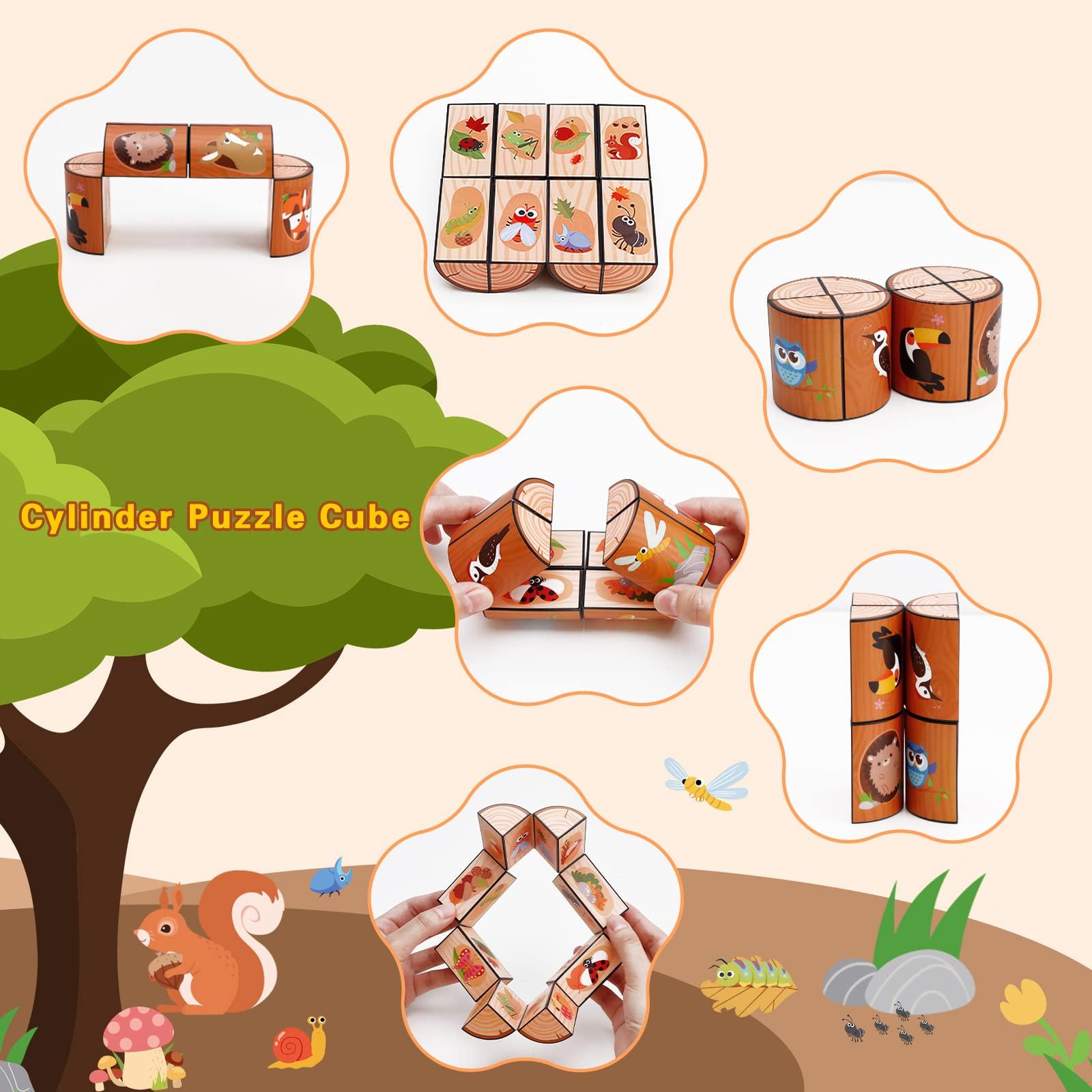 Euclidean Cube 3 Themes Magic Cube Yoshimoto Cube Set for Kids and Adults, Toy Gifts for Boys and Girls Ages 8-12