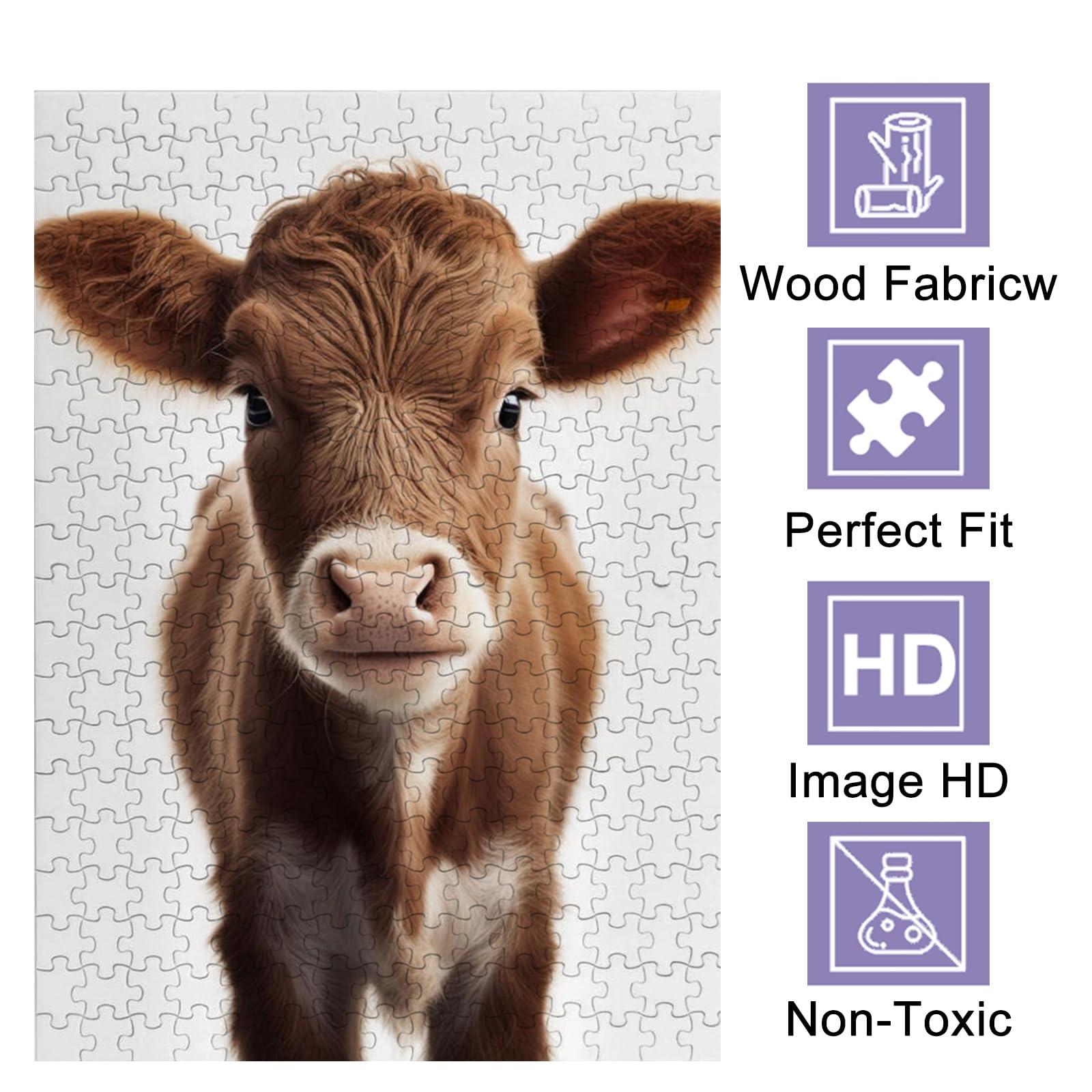 Grey Fox Games Last Light: Infinity Expansion | Strategy Board Game | Space Exploration | 2 to 8 Players | Ages 14+ | 60+ Minutes