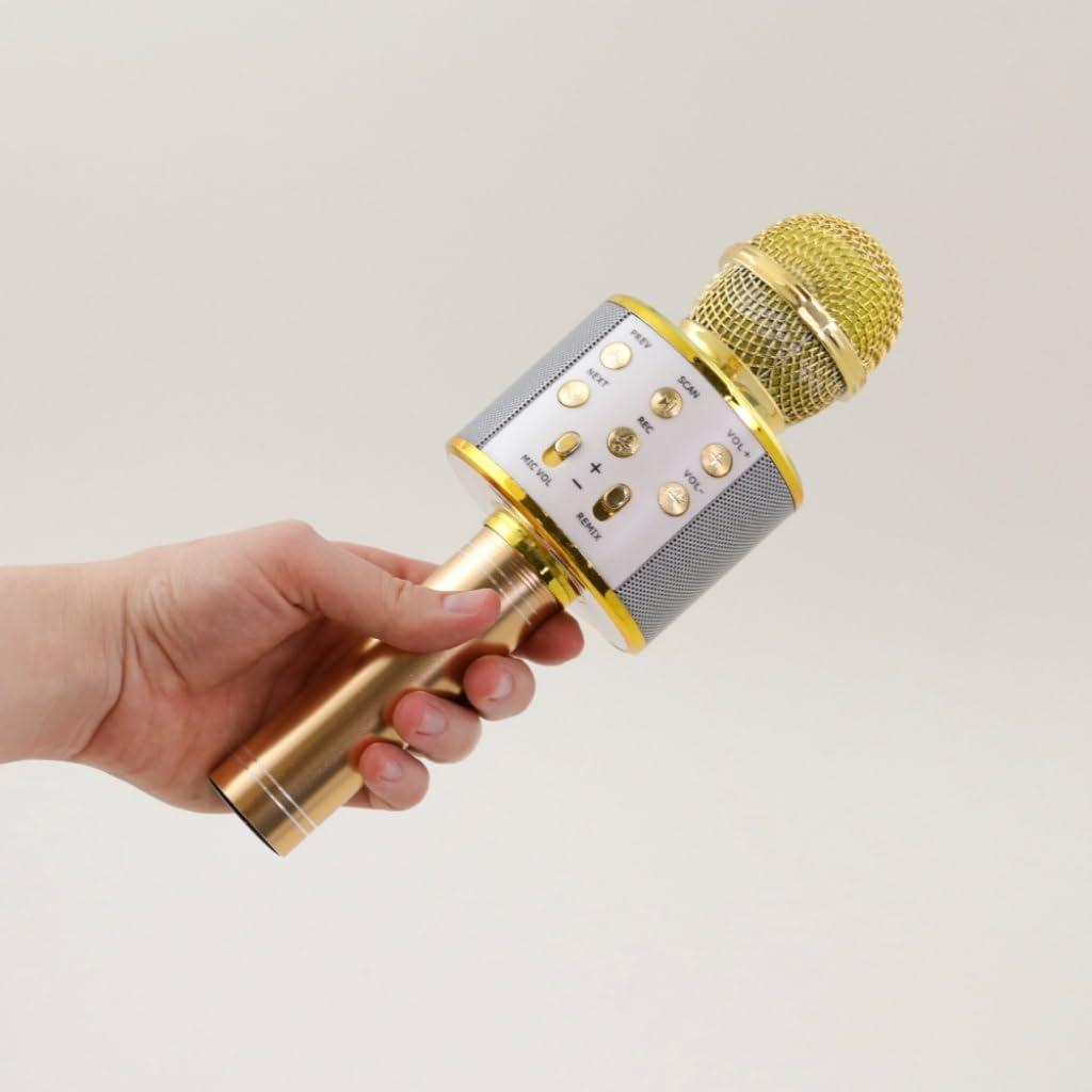 Generic Wireless Karaoke Microphone