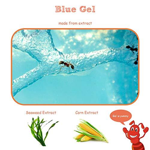 NAVADEAL NAVADEAL Ant Farm Castle Experiment and Toy Allows Study of Social Structure, Architecture, Ecosystem, and The Behavior of Ants Within The 3D Maze of Translucent Gel