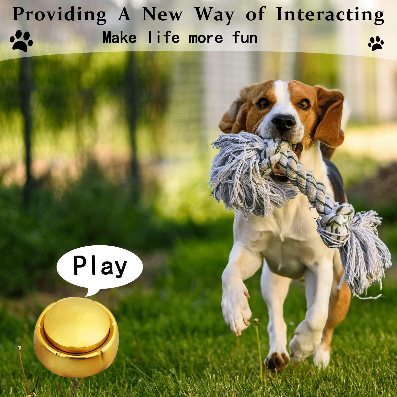 MakeSound Gold Recordable Button, Easy Button to Record, 30 Second Talk Button, Dog Communication Button, Golden Buzzer