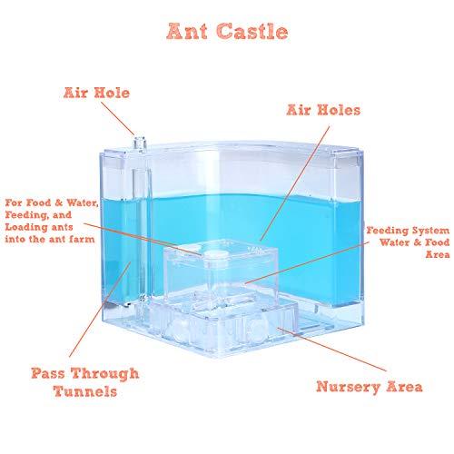 NAVADEAL NAVADEAL Ant Farm Castle Experiment and Toy Allows Study of Social Structure, Architecture, Ecosystem, and The Behavior of Ants Within The 3D Maze of Translucent Gel