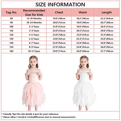 DYMCII DYMCII Baby Girls Feather Swan Princess Dance Dress Prima Ballerina Costume Pageant Party Prom Birthday Short Tiered Gown Gray 2-3T