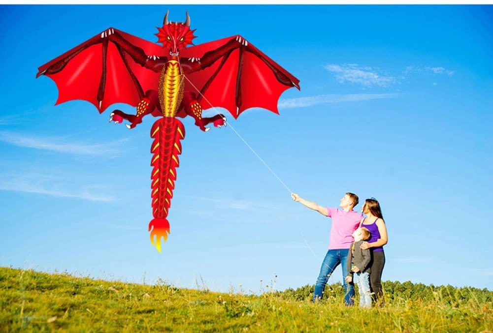 LSDRALOBBEB 1.6M Dinosaur Kite is a Flying Kite for Boys and Girls, Perfect for Outdoor Games and Activities, and Easy to Assemble and Fly LSDRALOBBEB 0401(Color:B,Size:)