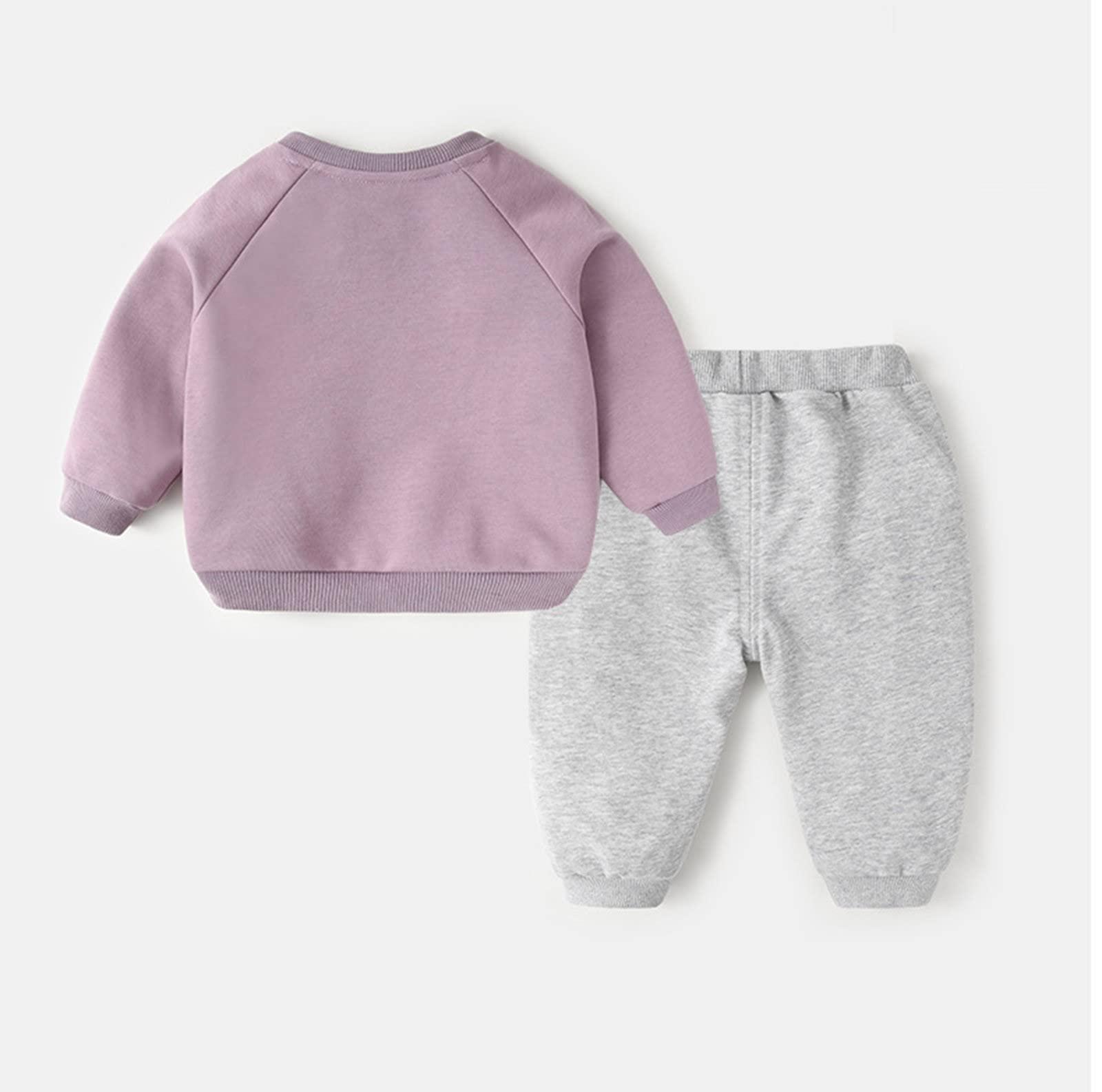 Generic Dinosaur Costume for Kids Toddler Baby Boys Girls Long Sleeve Cute Cartoon Animals Sweatshirt (Purple, 2-3 Years)