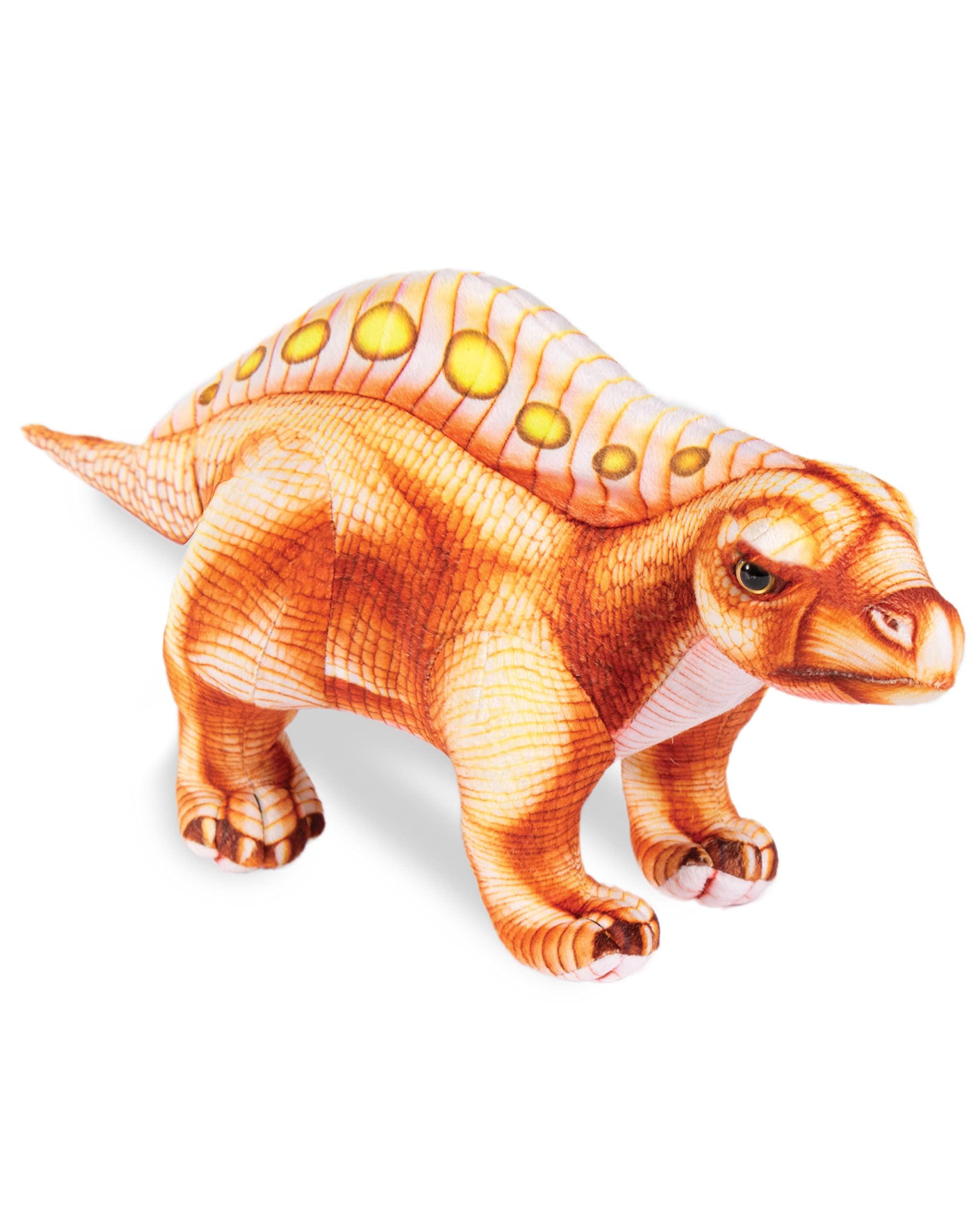 Oreilet Biological Prepared Slide, 4 Colors Professional 48pcs Specimens Slide, Microscope Slide, Gift for Kids School Including Animals, Insects Uniform