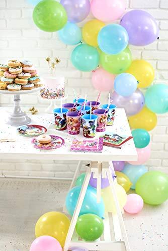 American Greetings American Greetings Paw Patrol Party Supplies, Paper Dinner Plates (40-Count)