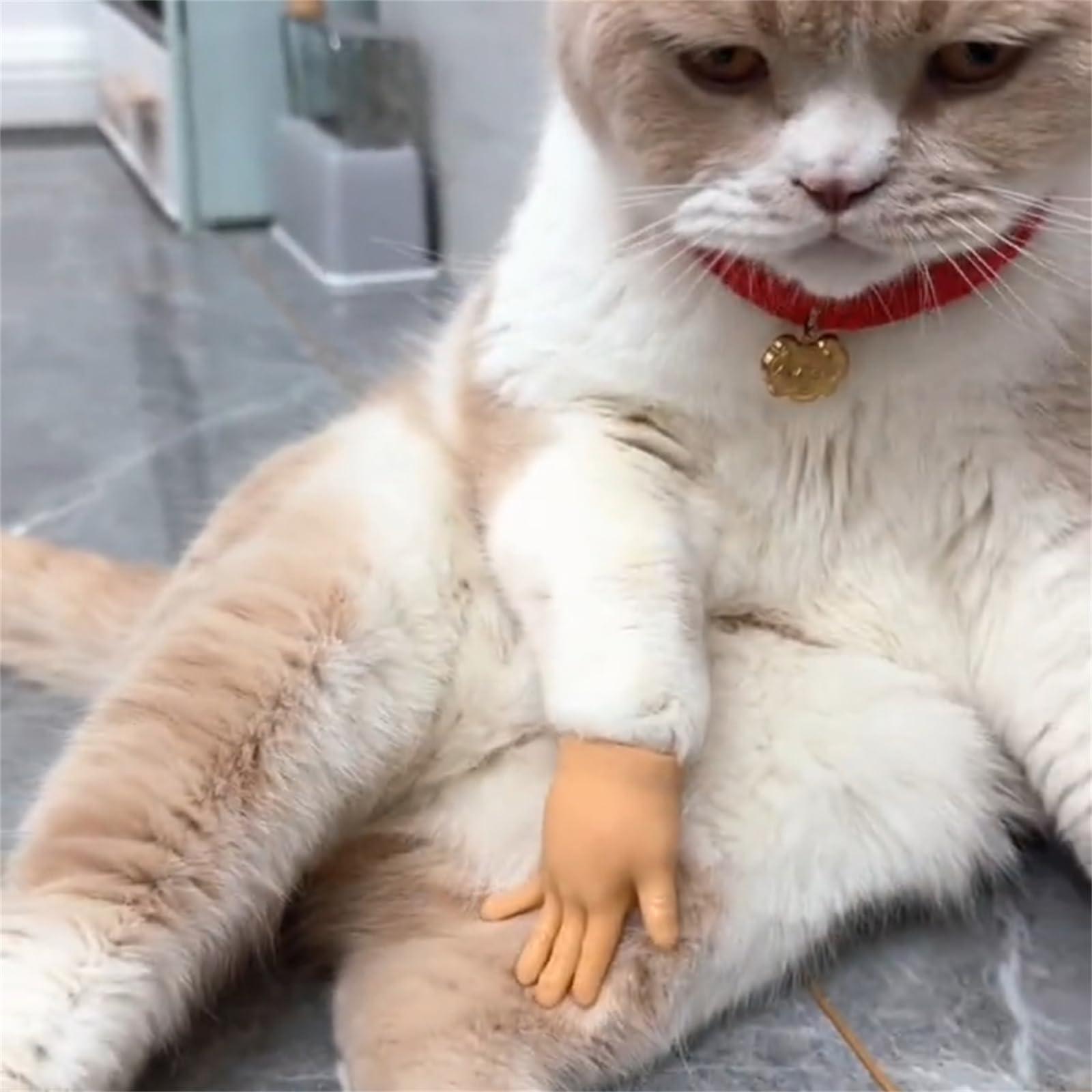 fizweyo Rubber Hands for Cats, Plastic Hands for Cats, Hands for Cats, Mini Hands for Cats, Tiny Hands for Cats, Tiny Hands for Fingers, Little Hands for Cats, Mini Human Hands for Cats,Small Hands (Mix*12)