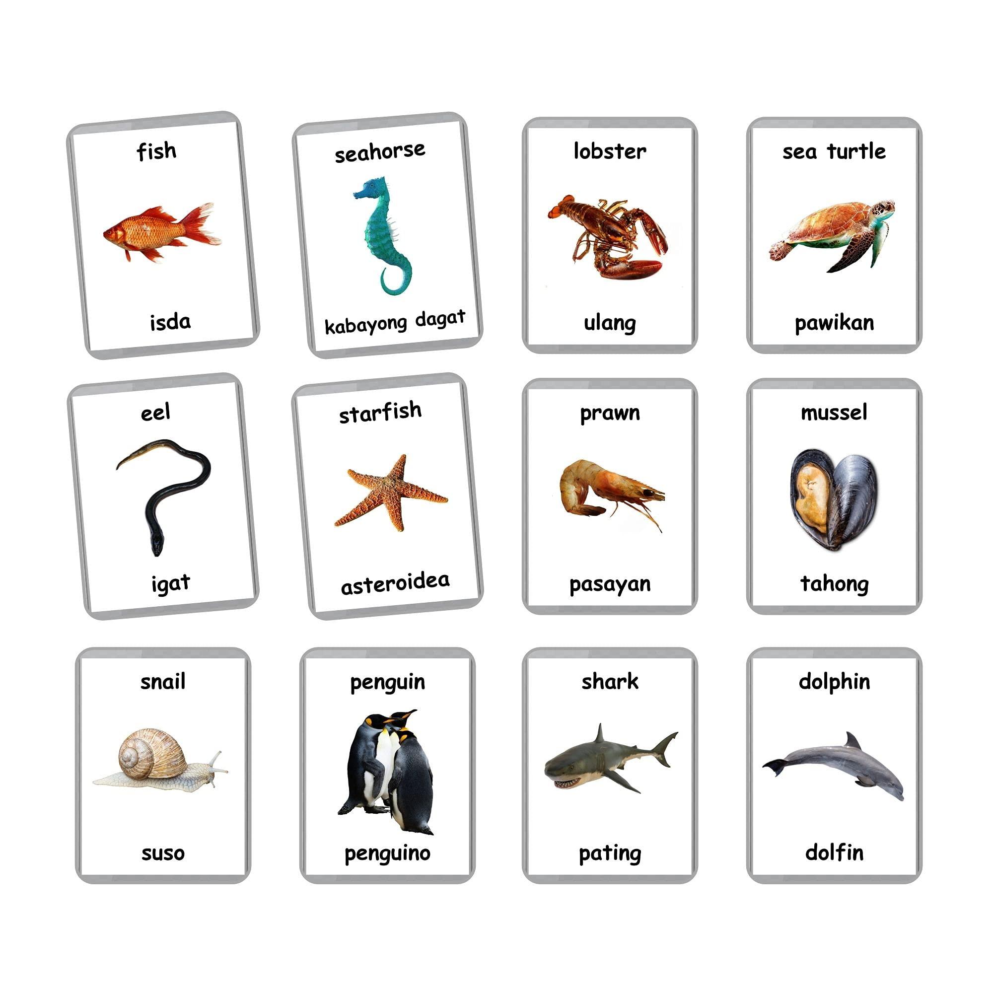 Generic Sea Animals Flash Cards - 26 Laminated Flashcards | Ocean Animals | Water Animals | Homeschool | Multilingual Flash Cards | Bilingual Flashcards - Choose Your Language (Filipino + English)