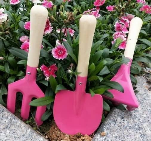 LIJBN Garden Tools Set 3 Piece, Heavy Duty Garden Tools Set, Succulent Kit for Plant Care SetIdeal Gardening Tool Kit Gifts for Parents and Kids Including Trowels, Hand rake Gardening Hand Tools