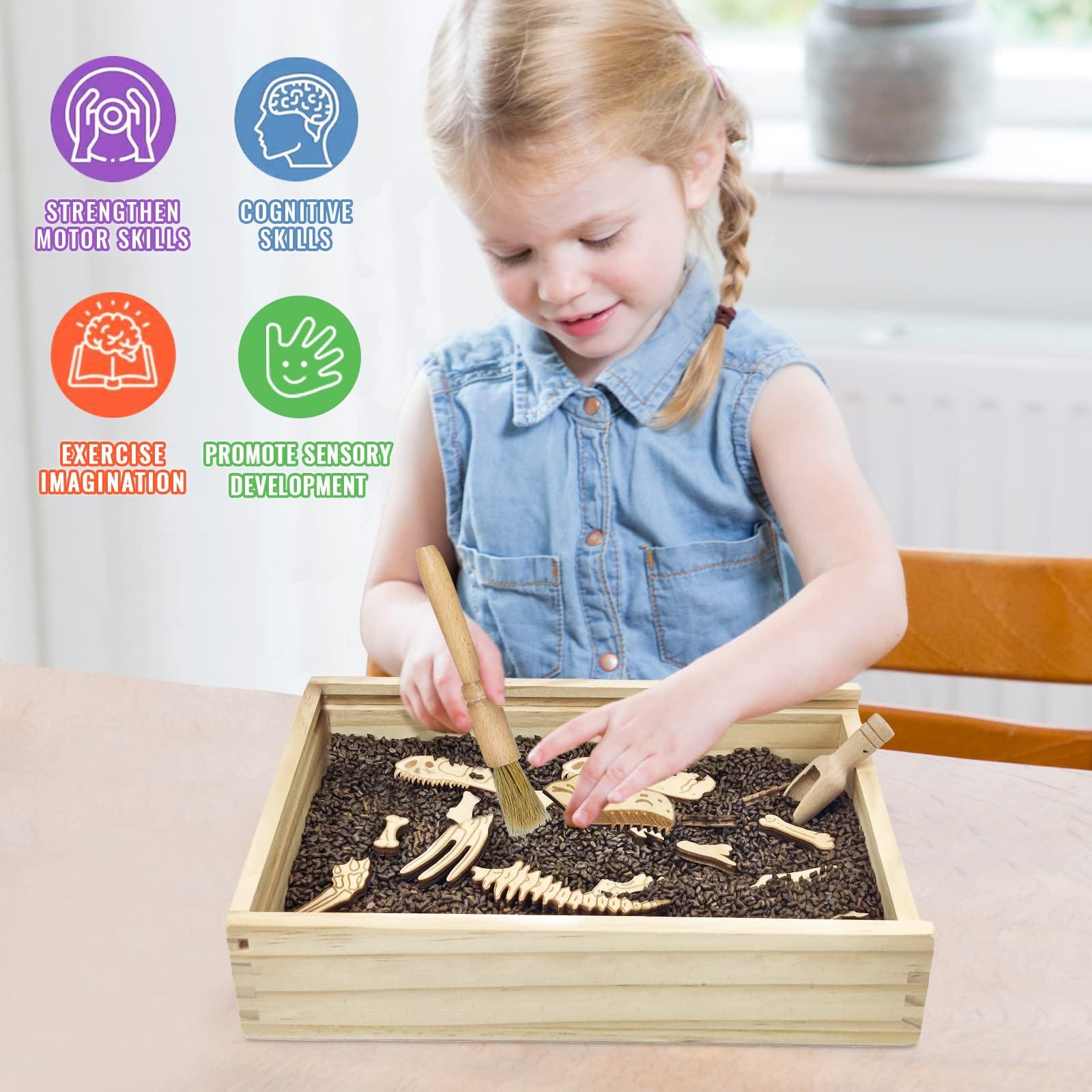 Xylolin Xylolin Dinosaur Excavation Archaeology Dig Kit for Kids, Fossil Explore Sensory Bin Toys, Dino Skeletons Bones Puzzle Game, Archaeology Science STEM Toys for Boys and Girls (Tyrannosaurus)