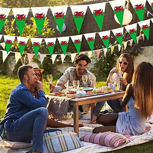 Shatchi 10m Welsh Triangle Bunting Banner Triangle Flags St Georges Day Euro Cricket Rugby Football World Cup Sports Events Street Party Decoration.