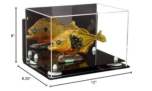 Better Display Cases Better Display Cases Versatile Acrylic Display Case - Medium Rectangle Box with Mirror, Wall Mount and White Risers 12" x 8.25" x 8" (A004-WR)