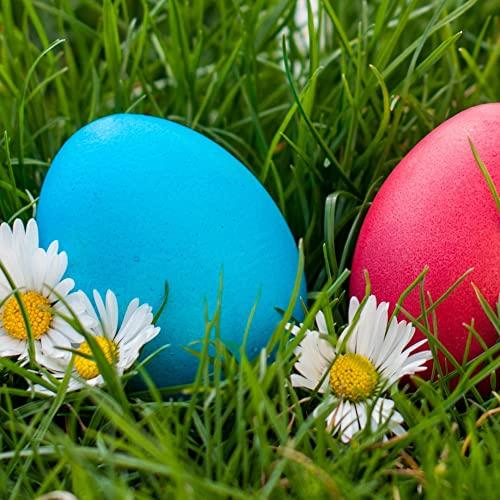 YMrott YMrott 20 Pack Unpainted Wooden Eggs Smooth Fake Easter Egg Hunt for Wood Crafts Dcor Gifts, 2-1/2 Inches