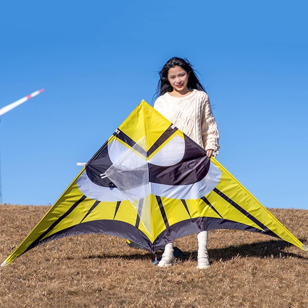 XLTTY Kites Giant Beach Kites for Adults, Easy to Fly Single-line Beach Kites, Easy to Assemble, Best Kite for Beginner (Size : 2.5m+500m line)