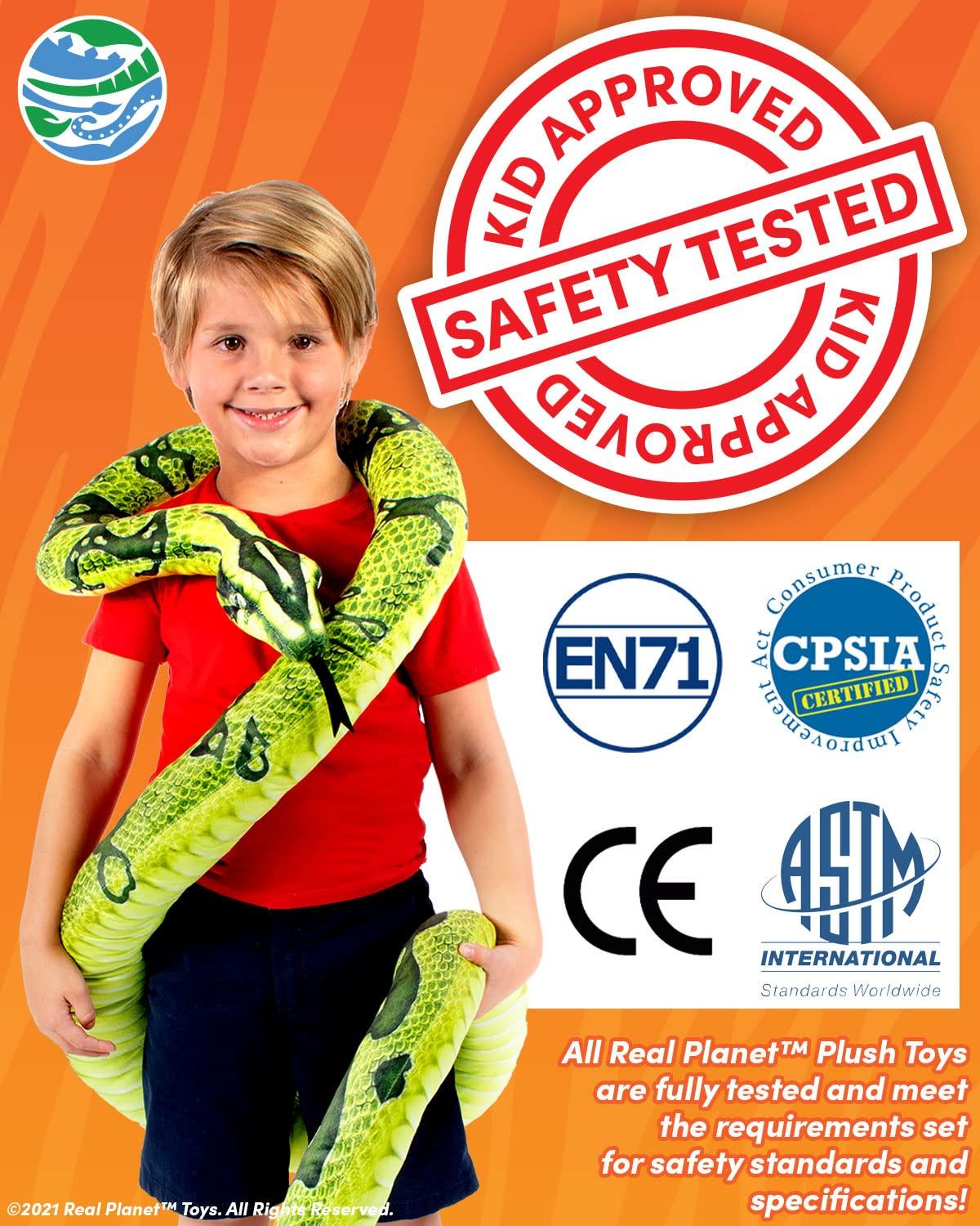 Oreilet Biological Prepared Slide, 4 Colors Professional 48pcs Specimens Slide, Microscope Slide, Gift for Kids School Including Animals, Insects Uniform