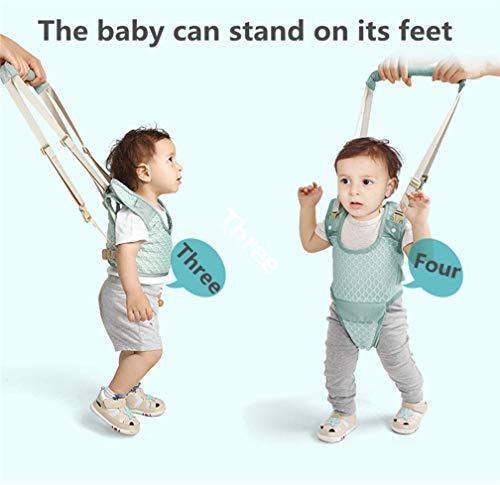 PriceXes Baby Harness Belt for Toddler, Adjustable Handheld Stand Up and Walking Baby Walker Safety Harnesses, Pulling and Lifting Dual Use Infant Toddlers Walking Assistant Strap (Blue)