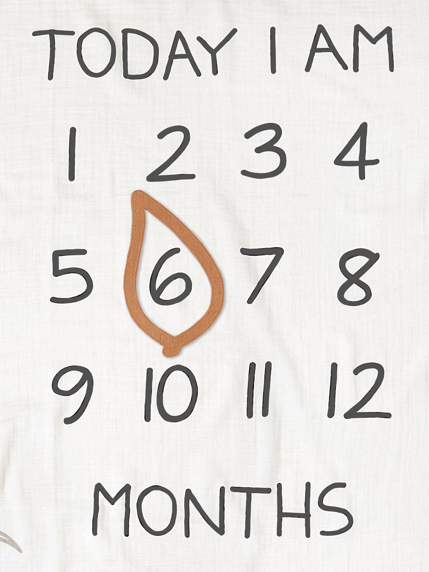 Modern Moments by Gerber Modern Moments by Gerber Muslin Milestone Blanket with Felt Month Marker Frame