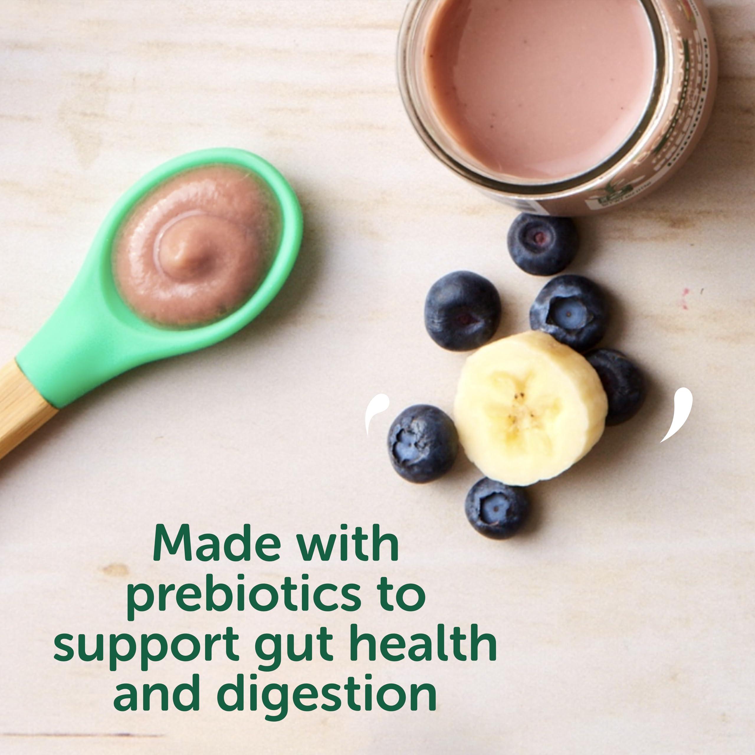 Beech-Nut Beech-Nut Organic Fruit & Yogurt Baby Food Jars with Prebiotics, Organic Banana Berry & Yogurt Puree, Stage 2 Baby Food for Babies 6 Months and Up, Non-GMO, 4oz Glass Jars, 10ct