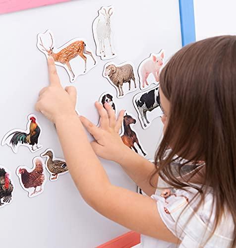 magdum 16 Fridge Magnets for Toddlers Magdum - Farm Photo Kids Magnets for Fridge - Toddler Magnets for Refrigerator - Magnetic Animals - Fridge Magnets for Kids - Animal Magnets - Toddler Fridge Magnets