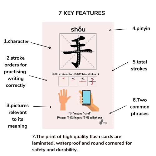 Mandarin Prodigies Mandarin Prodigies Chinese Flash Cards - 100 Chinese Words | 50 Durable, Coated Mandarin Flashcards: Pinyin, Writing Stroke Order, Card Holder | Montessori Learning Chinese